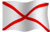 image content