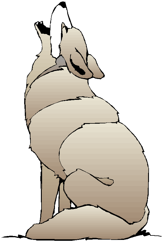 coyote1.gif